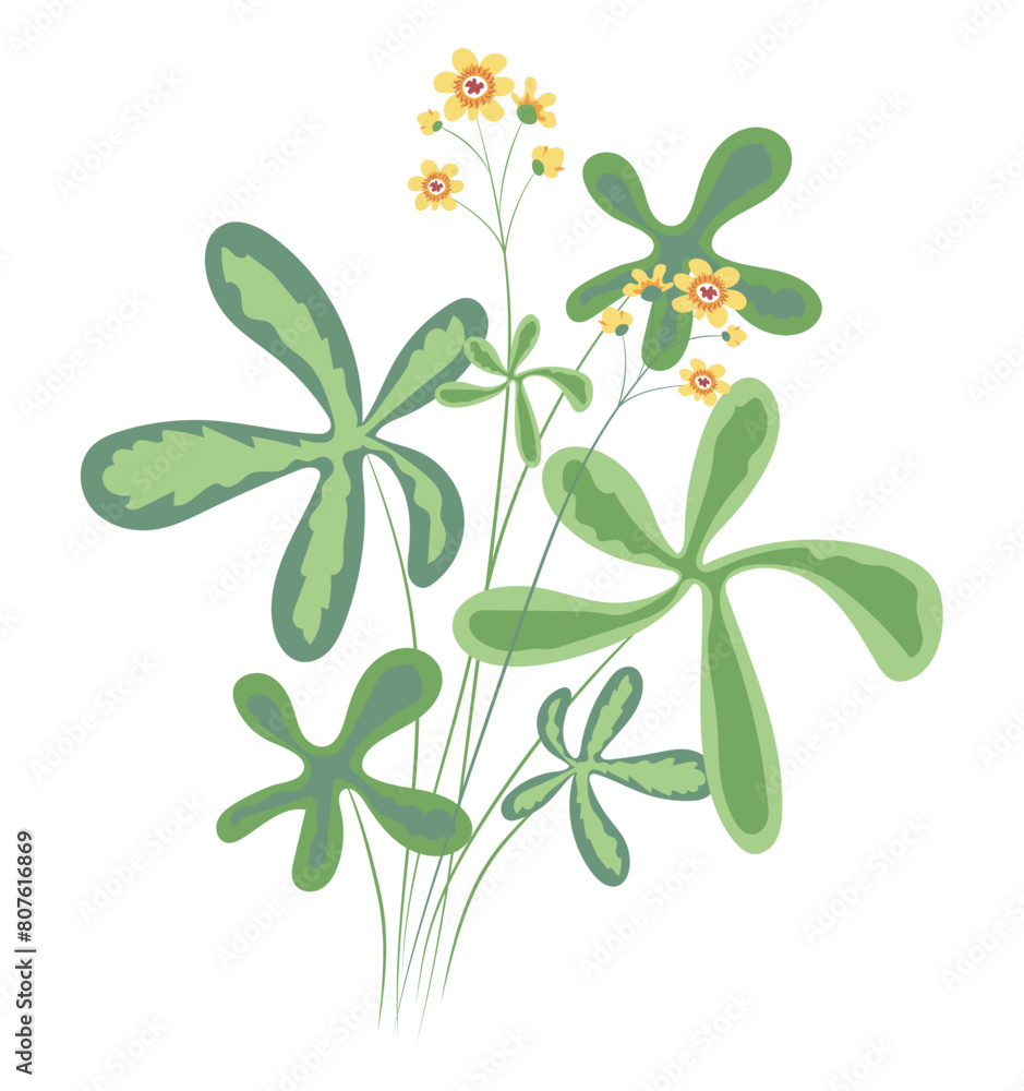 Obraz premium Abstract field wildflower in flat design. Daisies blossom with leaves. Vector illustration isolated.