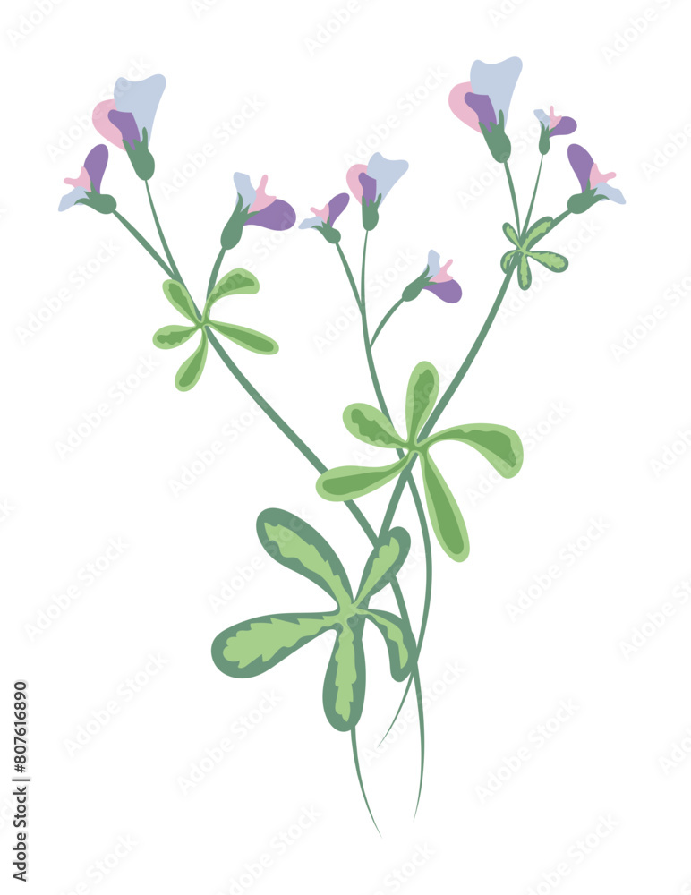 Purple pea flower on twig in flat design. Wildflower with green leaves. Vector illustration isolated.