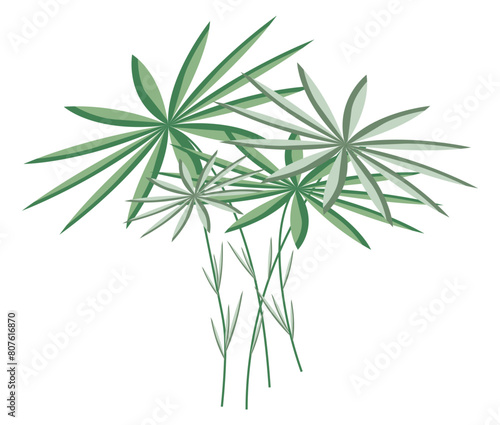Abstract tropical plant with leaves in flat design. Green papyrus leaves. Vector illustration isolated.