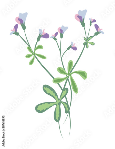 Purple pea flower on twig in flat design. Wildflower with green leaves. Vector illustration isolated.