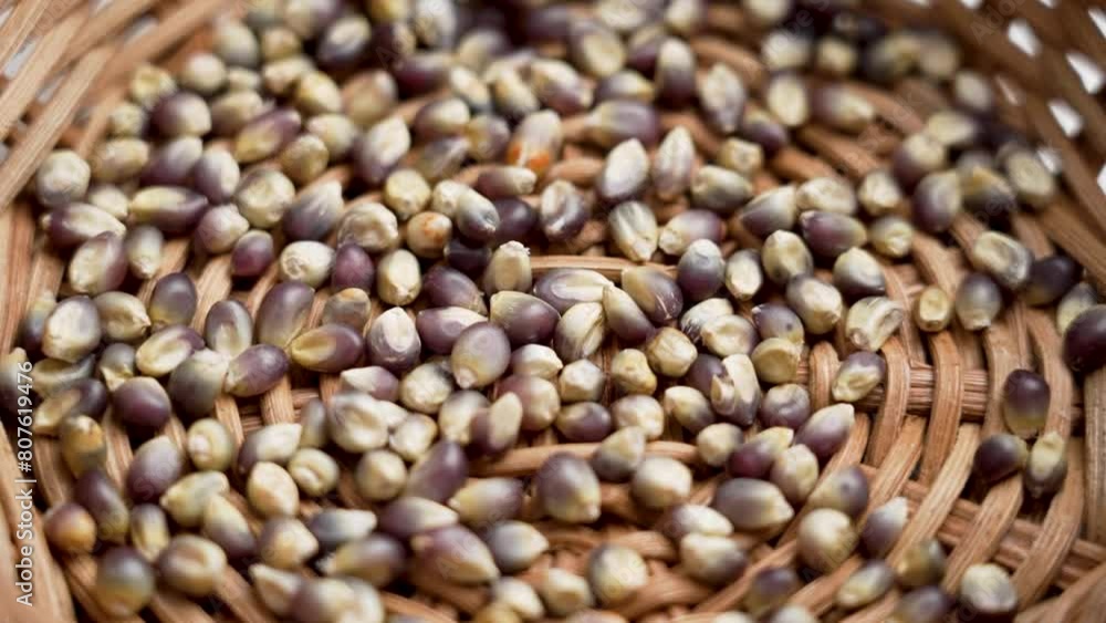 Organic dried blue corn kernels in rattan wooden bowl close up. Dry Mexican Hopi maize grains Organic dried blue corn kernels in rattan wooden bowl close up. Dry Mexican Hopi maize grains