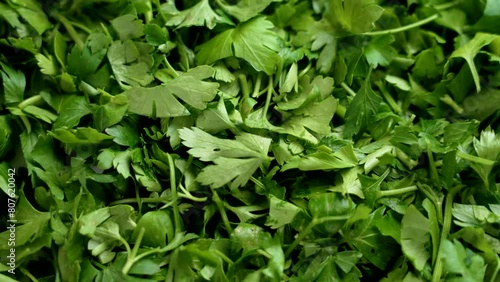 Fresh parsley chopped leaves as a wholesome herbal salad ingredient. Top view. Rotation photo