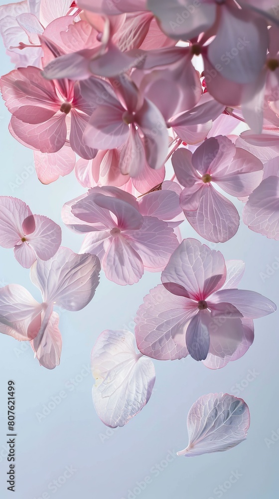 Stylish poster featuring an artistic arrangement of rose petals floating, with ample negative space drawing attention to the flowers ephemeral beauty