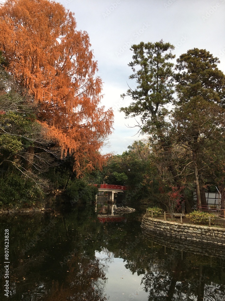 秋の紅葉　神社　池　神池　景色　風光明媚