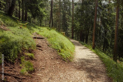 A fork long a path inside a peaceful forest , no people around