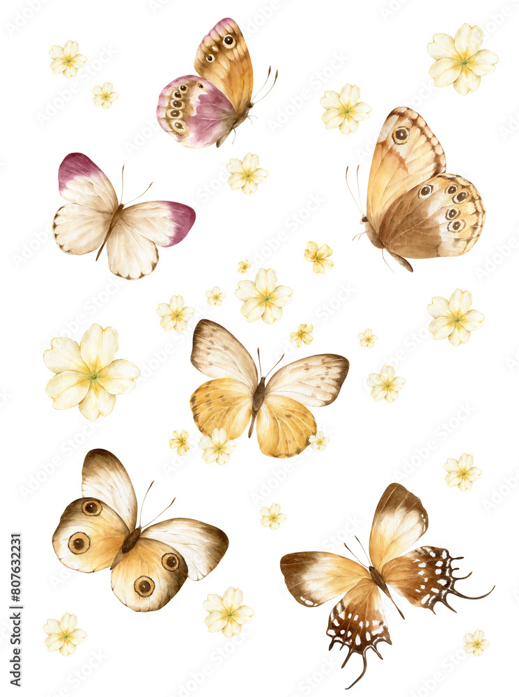 Watercolor set of butterflies. Bright butterflies isolated on a white background, hand-painted