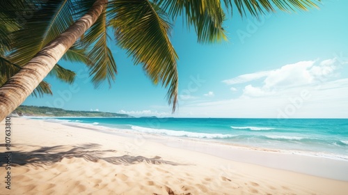 beach with turquoise waters and soft white sand   palm trees 