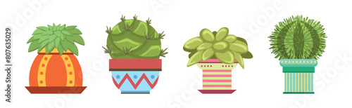 Green Spiky Cactus Plant Growing in Ornamental Ceramic Pot Vector Set