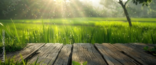 Wooden Floor Beside A Green Rice Field In The Morning With Sunray Exudes A Sense Of Tranquility And Harmony, Background HD For Designer 
