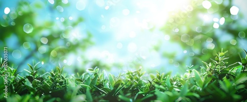 World Environment Day Concept With Green Grass And Blue Sky Abstract Background, Background HD For Designer 