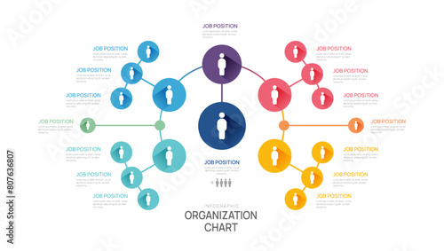 Infographic template for organization chart with business avatar icons. vector infographic for business.