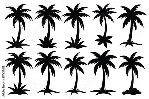 Set of coconut tree black Silhouette Design with white Background and Vector Illustration