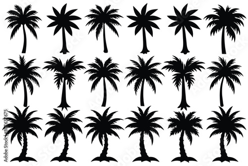 Set of coconut tree black Silhouette Design with white Background and Vector Illustration