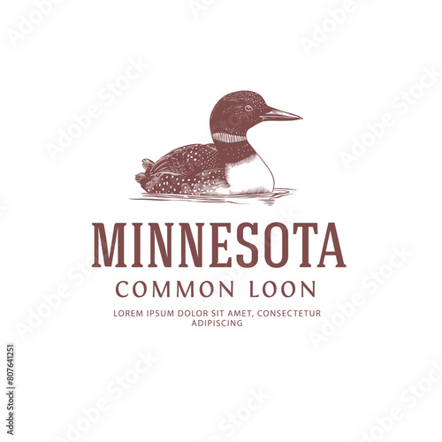 Minnesota State Bird Logo Common Loon photo