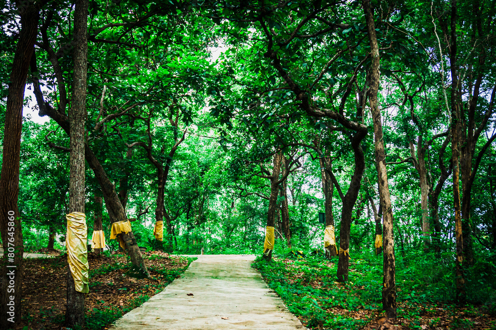 Obraz premium mountain road