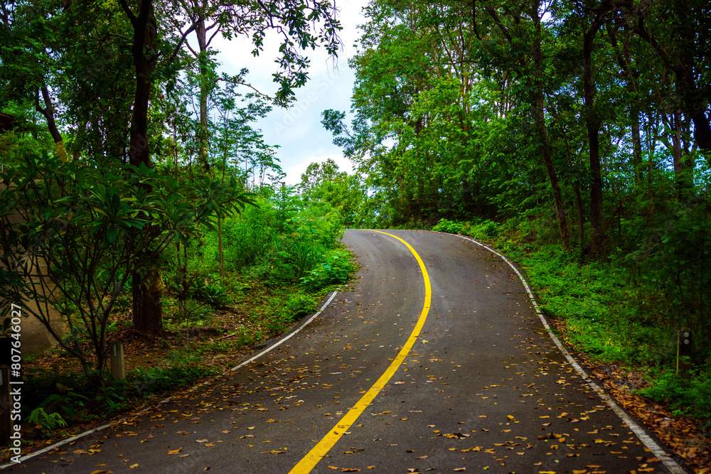 Fototapeta premium mountain road