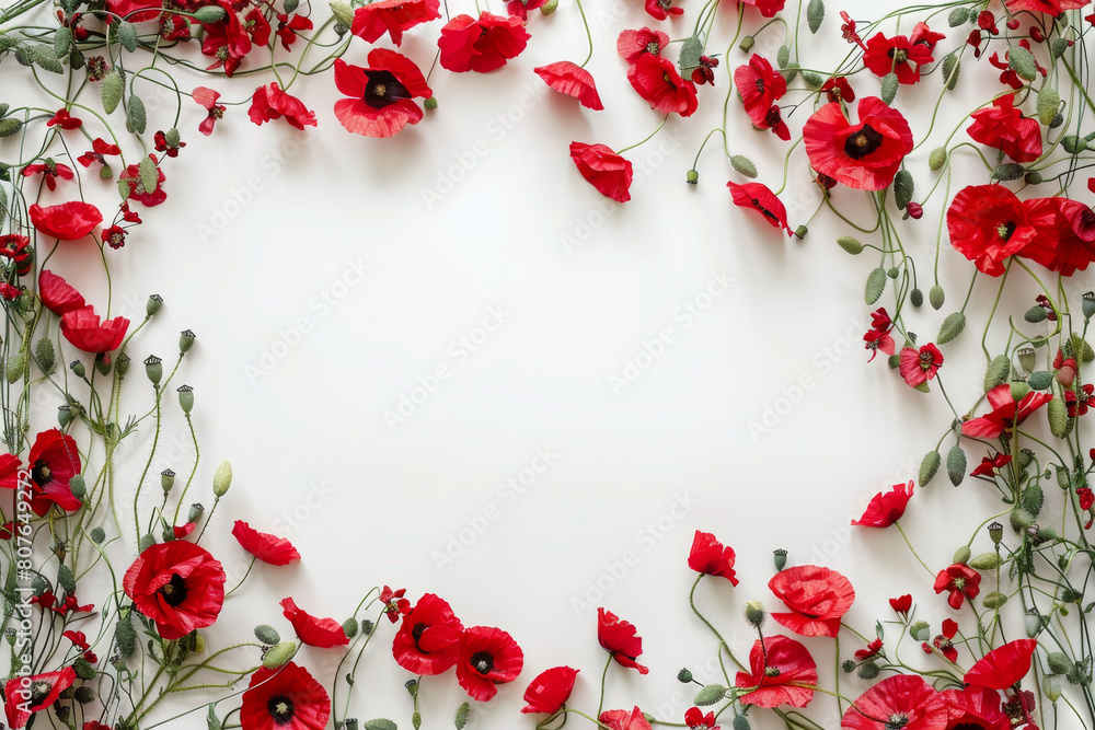 Red poppy flower arranged as a frame on white background