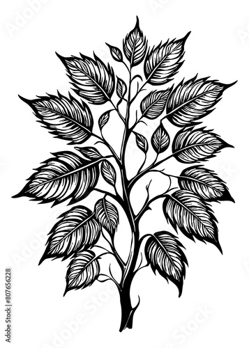 Wallpaper Mural Tree . Black and white botanical pattern. For use in graphics, materials. Abstract plant shapes. Minimalist illustration for printing on wall decorations. Generated by Ai Torontodigital.ca