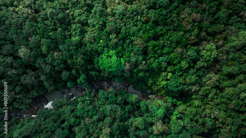 Aerial view of mixed forest, deciduous trees, greenery and waterfalls flowing through the forest. The rich natural ecosystem of rainforest concept is all about conservation and natural reforestation 