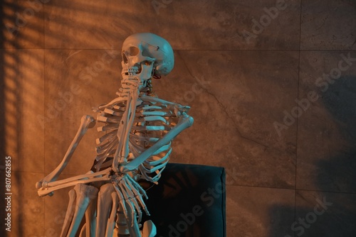 Waiting concept. Human skeleton sitting in armchair indoors  space for text