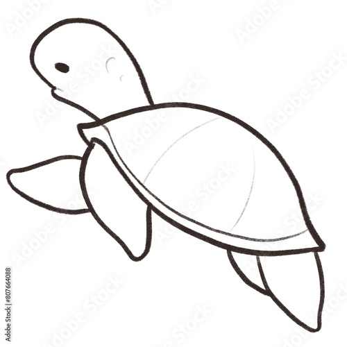 Ocean sea animal coral cartoon