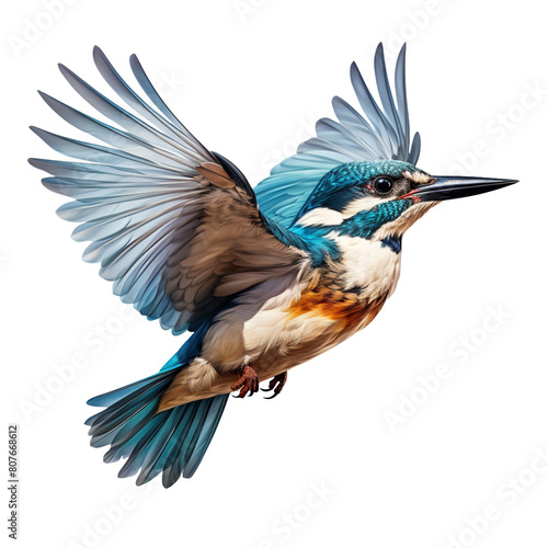 Flying kingfisher bird isolated on transparent background