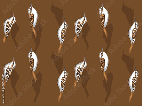 Bird Treecreeper Creeper Cartoon Cute Seamless Wallpaper Background