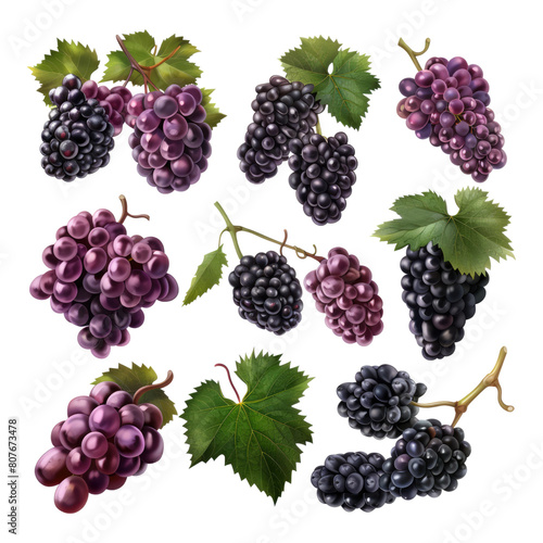 Set of grapes bunches Isolated on transparent background.