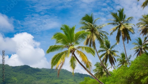 palm trees and blue sky  Sunny Tropical Getaway