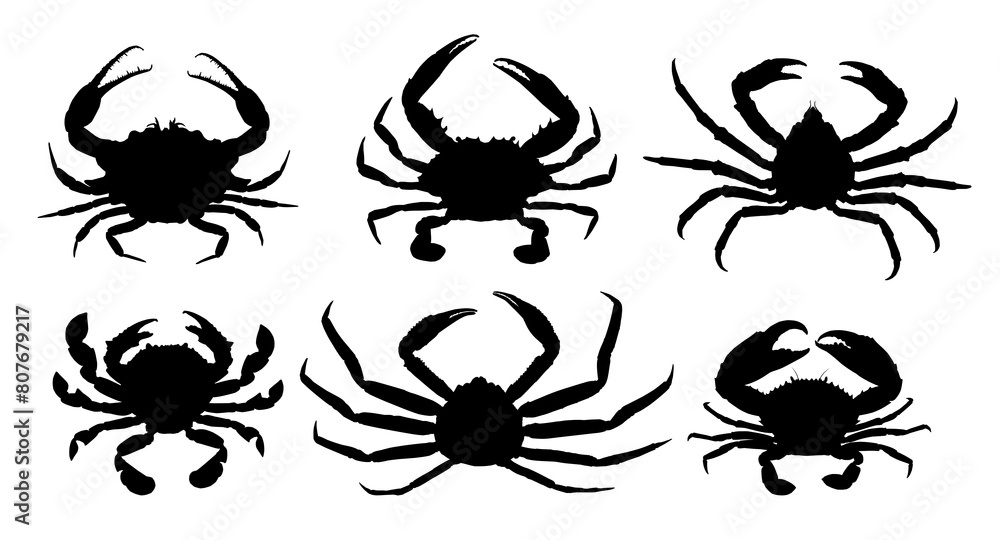 The set silhouettes of sea crabs.
The set silhouettes of sea crabs.