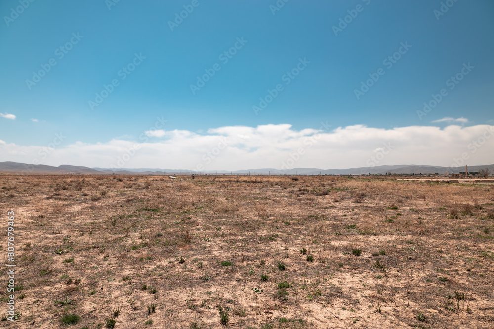 Naklejka premium Desert Landscape, blue sky and scattered grass plants across the flat field