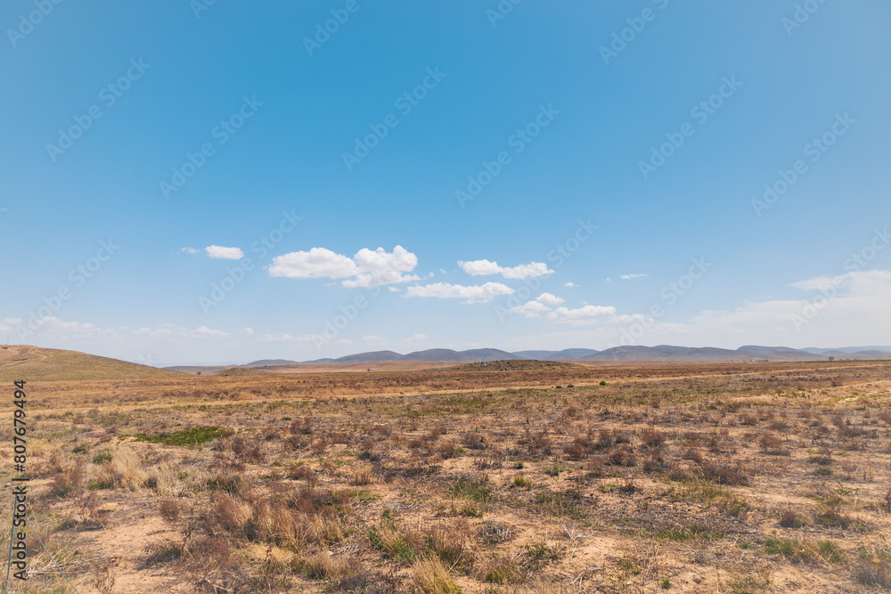 Desert landscape, blue sky and hills on the background, scattered grass plants in the desert Desert landscape, blue sky and hills on the background, scattered grass plants in the desert