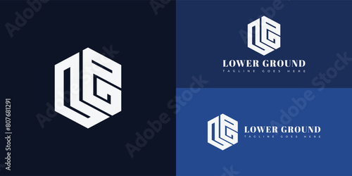 Abstract initial hexagon letter LG or GL logo in white color isolated on multiple background colors. The logo is suitable for property and construction company icon logo design inspiration templates. photo