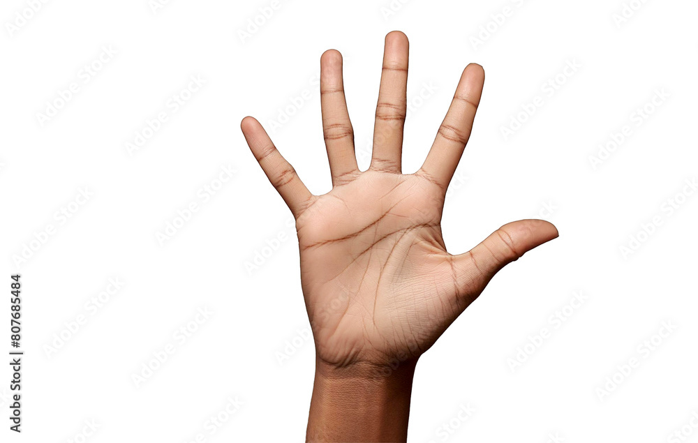 hand showing number five isolsted on white , open palm with fingers to sides isolsted on white,stop sign hand showing number five isolsted on white , open palm with fingers to sides isolsted on white,stop sign