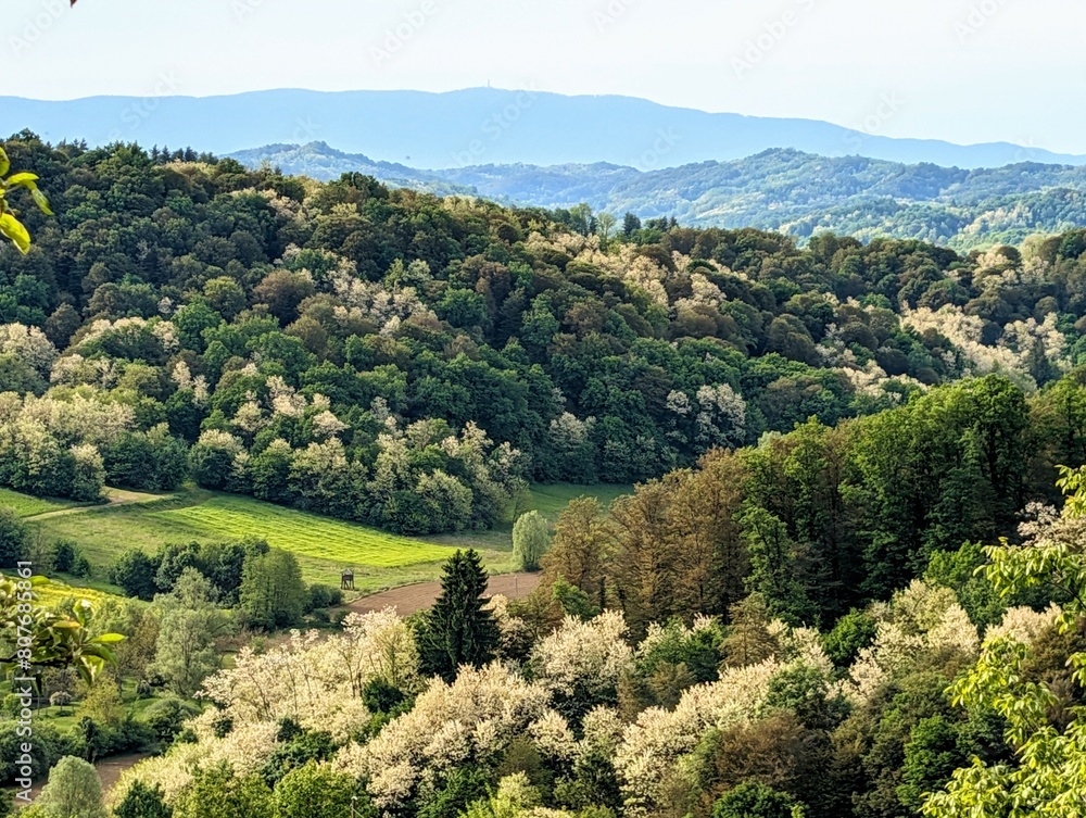 Beautiful landscape scenery, forest and nature background, green hillside at Klenice, Croatia, Hrvatsko Zagorje