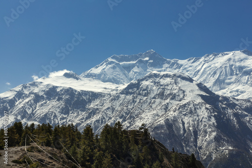 Pine trees and snow covered mountains of Annapurna mountain range in Himalayan mountains of Nepal.