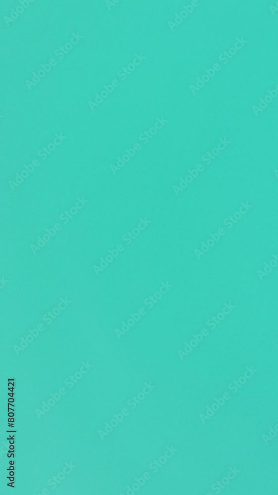 Vertical aerial view of the dolphins slowly swimming in crystal clear turquoise waters. Group of endemic marine mammals migrating along coastline as seen from above.