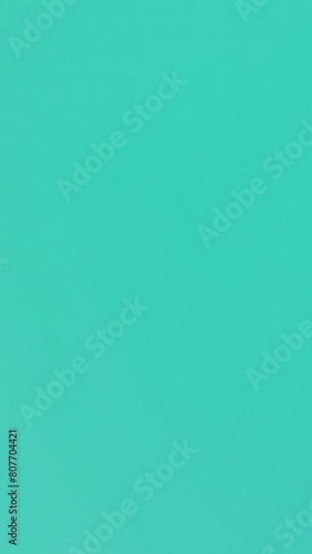 Vertical aerial view of the dolphins slowly swimming in crystal clear turquoise waters. Group of endemic marine mammals migrating along coastline as seen from above. photo