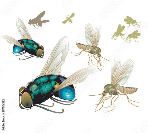 Fliegen und Mücken, isoliert  Illustration