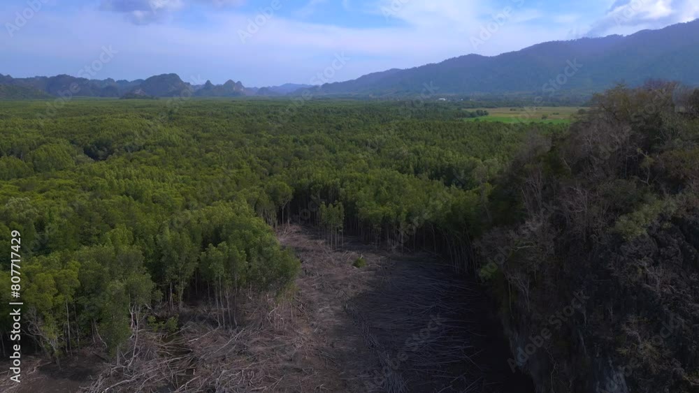 aftermath of mangrove deforestation in langkawi. Best aerial top view flight
descending drone
4k aftermath of mangrove deforestation in langkawi. Best aerial top view flight
descending drone
4k