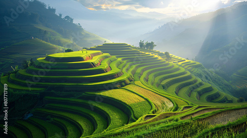 Beautiful rice field terrace in Indonesia