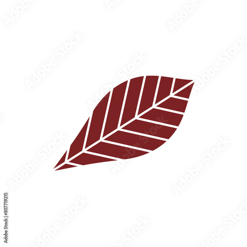 Leaf flat design