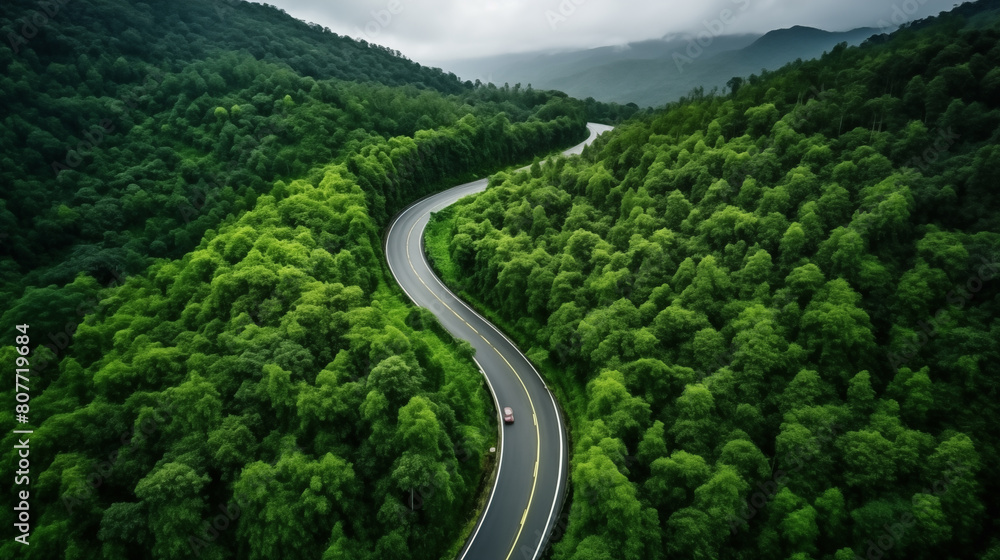 Fototapeta premium Aerial top view of beautiful curved road on green forest