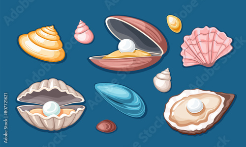 sea shells. ocean starfish aquarium seashells collection, cartoon aquatic life spiral beach cockleshells. vector cartoon objects set, isolated on white background.