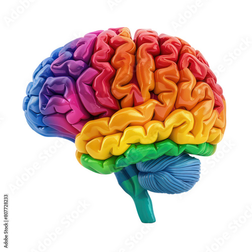 3d brain rainbow pride color isolate on transparency background PNG