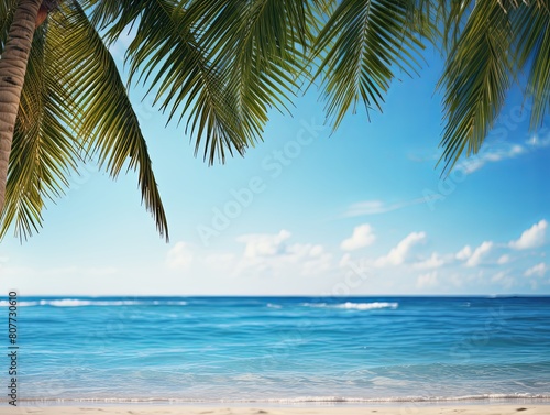 Palm and tropical beach. Ocean Tropical Beach.