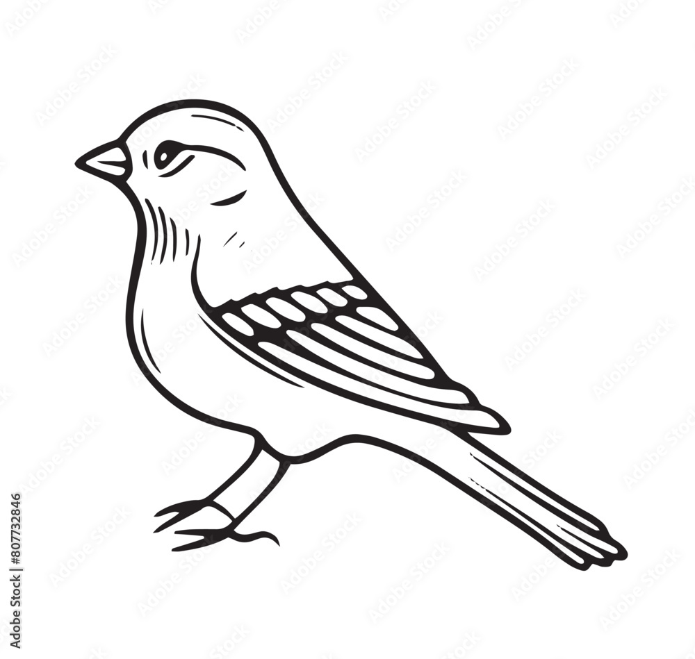 Obraz premium Monochrome Bird Vector Isolated Illustration
