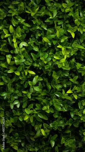 a green hedge with small plants on it, in the style of decorative backgrounds
