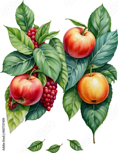 Fruit pile set. Vector illustration of banners with various tropical fruits isolated on white background. Fresh food in cartoon flat style.