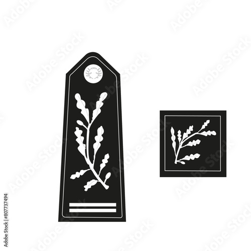 Rayon de l'armée française, de la police nationale, du corps de commandement : Corps de commandement, Commissaire divisionnaire de la police.